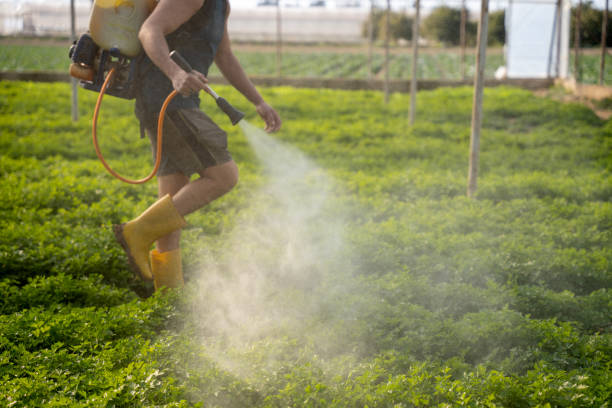 Best Commercial Pest Control Services  in Mission, KS