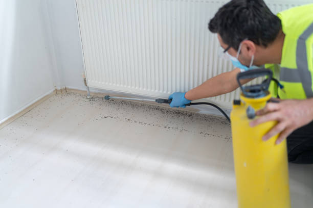 Best Best Pest Control Companies  in Mission, KS